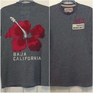 Hollister T-Shirt- Medium